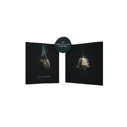 Lenticular Poster