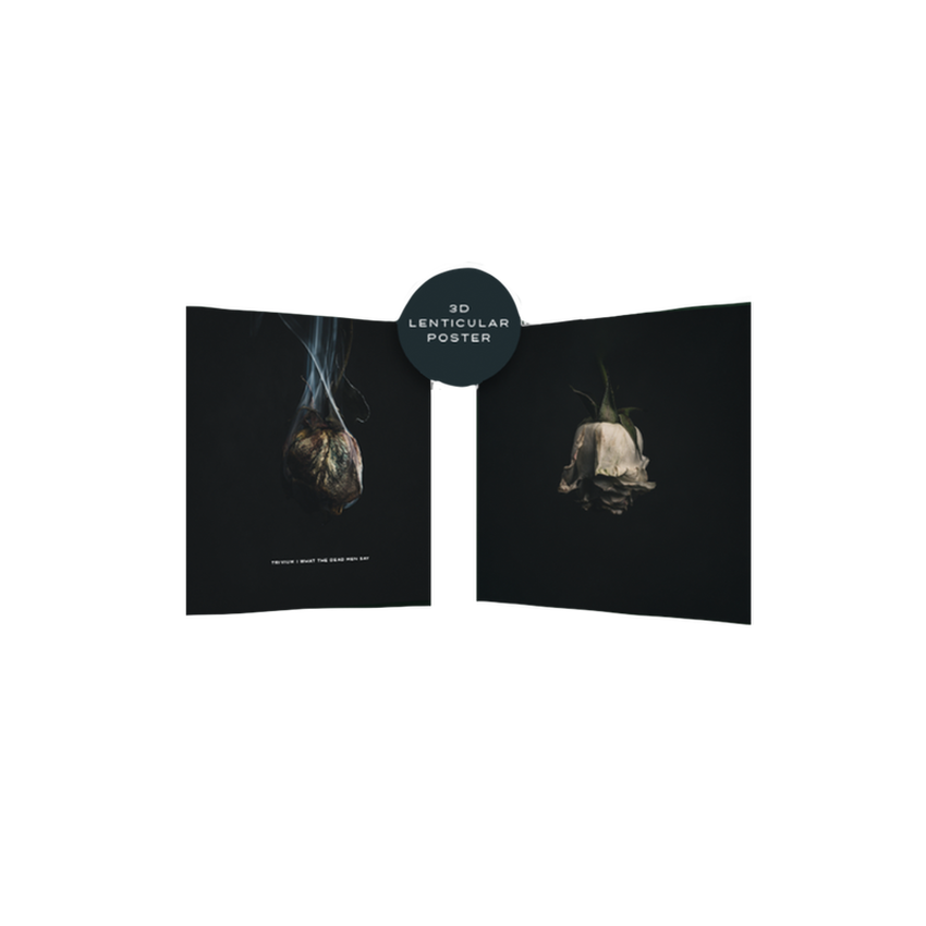 Lenticular Poster